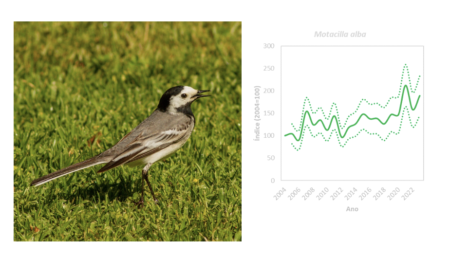 Screenshot 2024 04 25 at 17.45.39